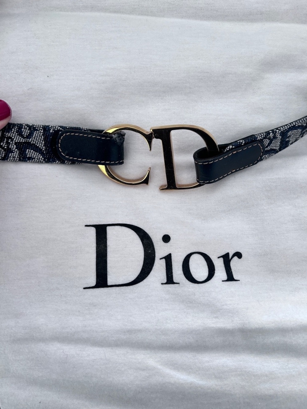 Dior Blue Monogram Canvas Belt with Gold CD Buckle